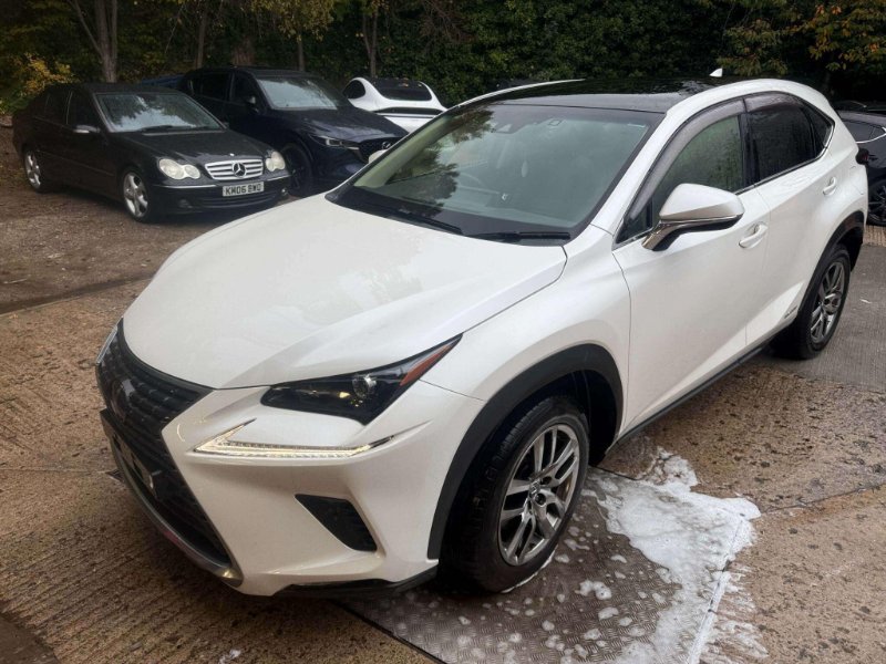 2019 Lexus NX