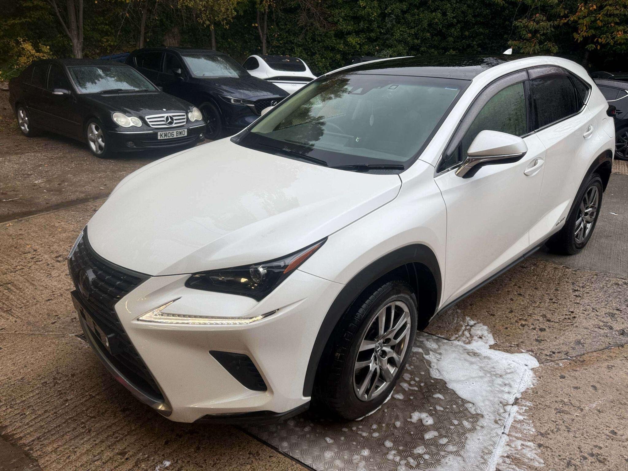 2019 Lexus NX